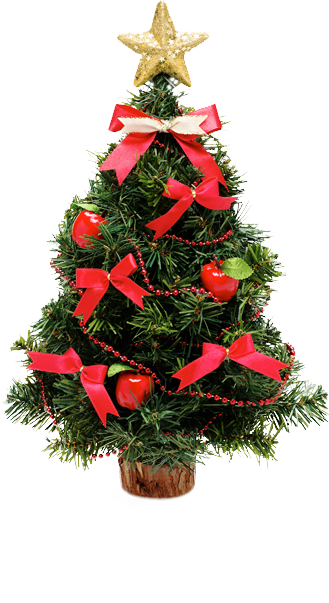 Notre �quipe vous souhaite Joyeuses f�tes